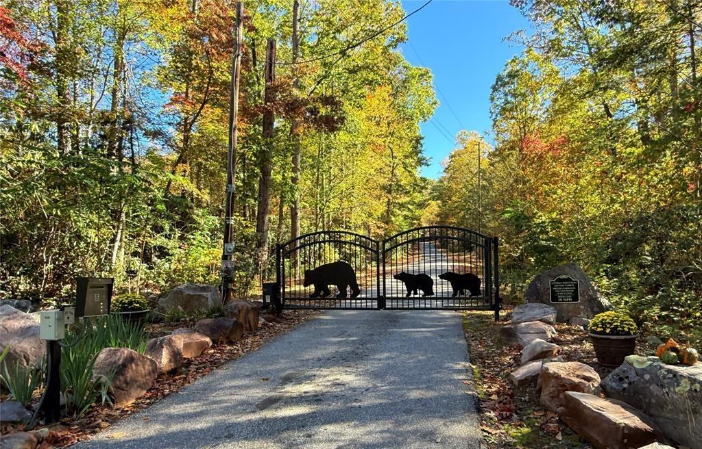 The iron community gate at the head of the drive, woods on both sides